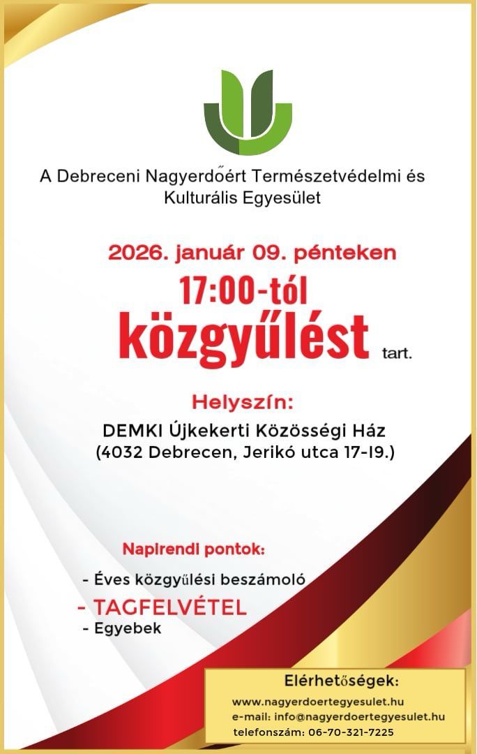 611254524 1390769103084641 1899544998450163910 n