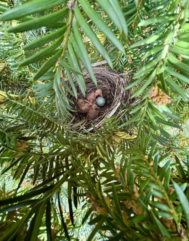 3. egy j let kezdete